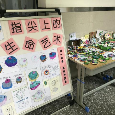 指尖上的生命艺术——西安市华山中学初一年级生物作品展