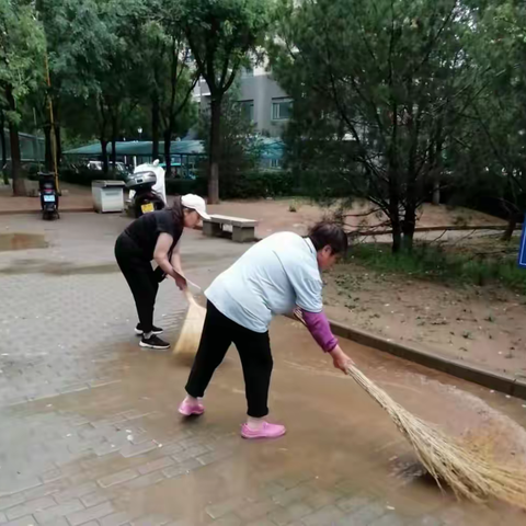 南辛庄街道办事处积极开展夏秋病媒生物防治活动