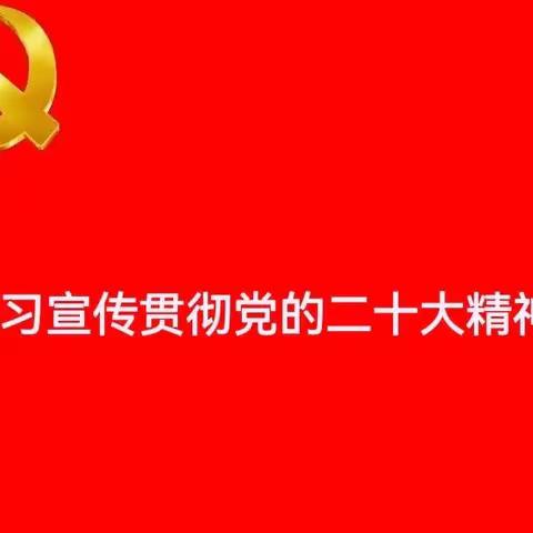 学习党的二十大精神心得体会（第二期）