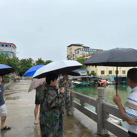 县委组织部部长林高凤深入昌化镇调研防风防汛工作部署情况及软弱涣散基层党组织整顿情况
