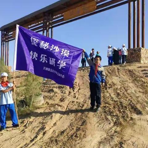 六户地镇学校世界环境日古尔班通古特沙漠护绿研学活动