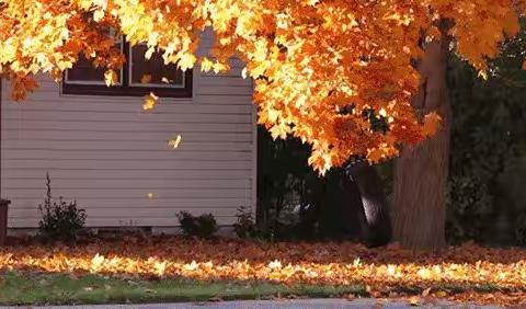 我为抗疫做点事 参与身边抗疫工作