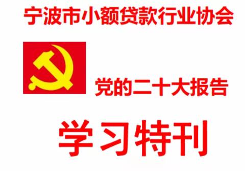 宁波市小额贷款行业协会党的二十大报告学习特刊