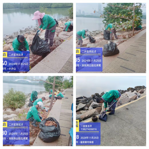 【园容管理周报】深圳湾公园2025年3月第二周工作汇报