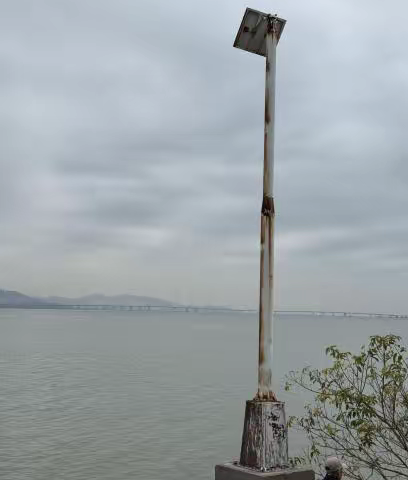 市公园管理中心黄亚副主任带队到深圳湾公园督导春节节后复工复产工作