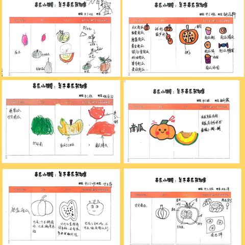 “南”得遇见，牵“瓜”与你（一）