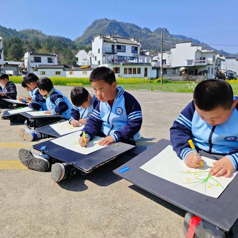 齐云山中心幼儿园：春日“野”趣 乐享油菜花