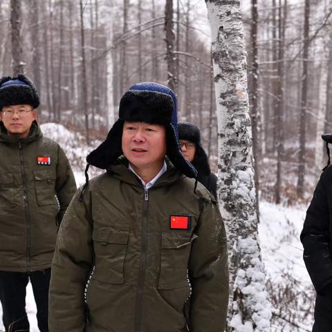 新林林业局党委副书记、局长杨洪涛深入森林抚育生产一线检查指导工作