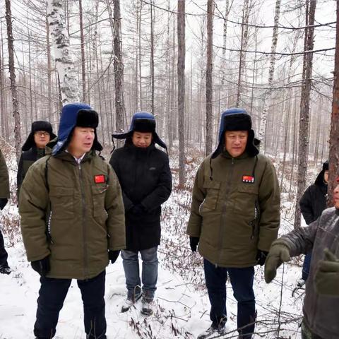 新林林业局党委副书记、局长杨洪涛深入森林抚育生产一线检查指导工作
