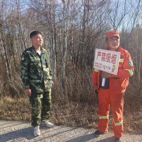 新林林业局宏图林场多举措开展野生兴安杜鹃保护工作