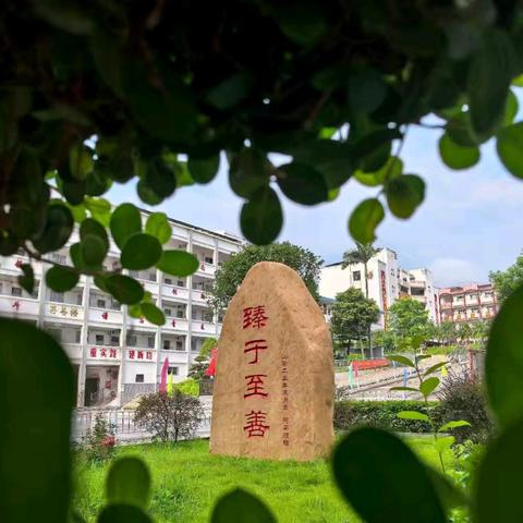 揉饼承秋意，侍亲暖中秋 一连平县附城中学2025年10月主题劳动纪实