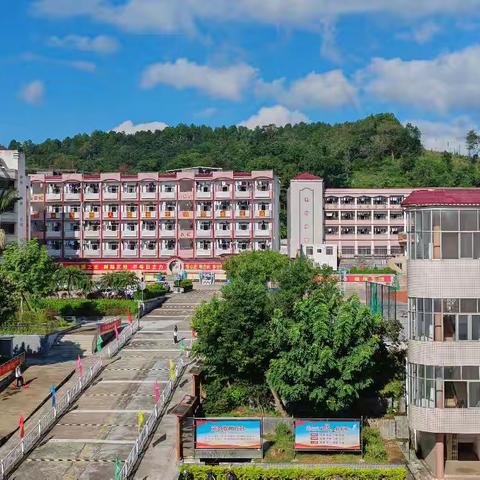 冬至暖师心，姜茶传温情 ——连平县附城中学三大社团联合活动纪实