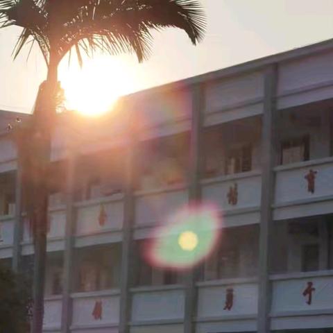 巧手理衣筑雅境，洁居纳福贺元春 ﻿——连平县附城中学主题劳动作业纪实