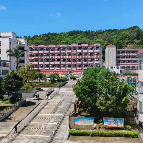 守护舌尖安全，筑牢健康防线 ——连平县附城中学劳动社食品安全知识竞赛活动纪实