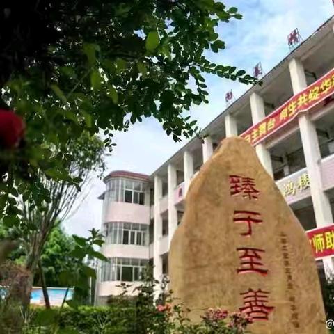 巧手烹美味 劳动享乐趣 ———连平县附城中学厨艺社开展趣味蛋炒饭活动纪实