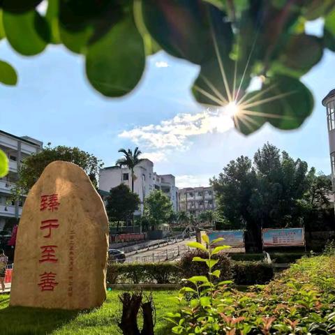 寻味客家乡愁，践行劳动初心 ﻿——连平县附城中学2026年3月份主题劳动作业纪实