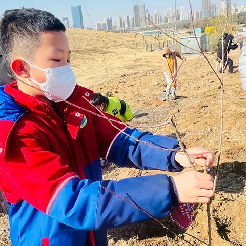 “学雷锋精神，做和美少年”新营小学2019级8班向日葵中队植树节志愿服务活动