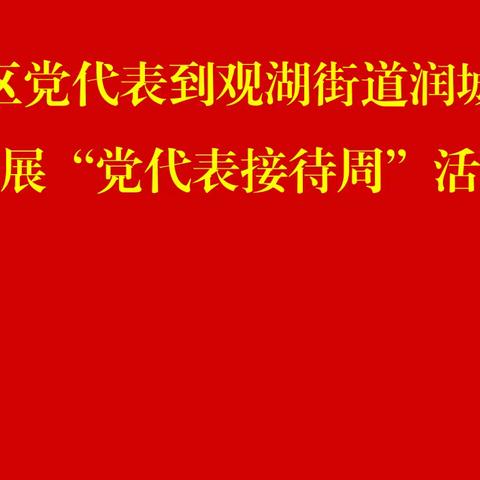 市、区党代表到润城社区开展“党代表进社区”活动