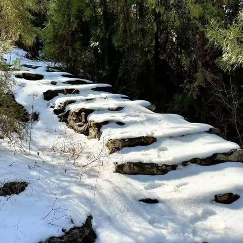 周天（25号）黑牛寨休闲玩雪