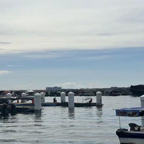 6月26日疍家文化调研活动纪实