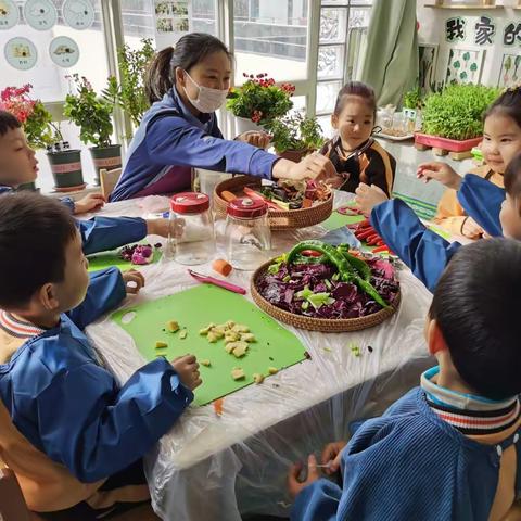 ✨零距离✨ 怡海幼儿园中班区域活动