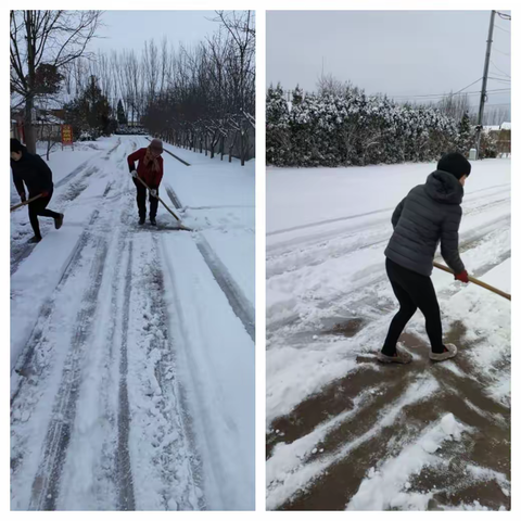 以“雪”为令齐上阵，闻“雪”而动显担当