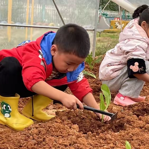 大二班2022-2023学年度第一学期种植