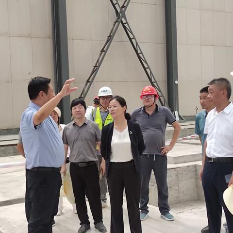 县长颜萍调研园区重点项目建设情况