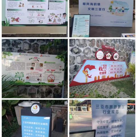 市场运营中心本周工作动态