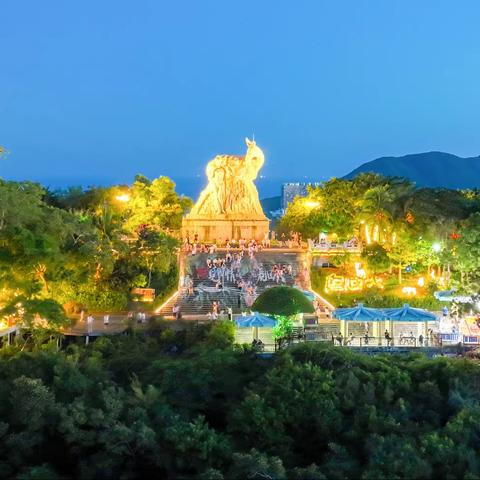 鹿回头市场运营中心本周工作动态