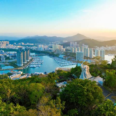 市场运营中心本周工作动态