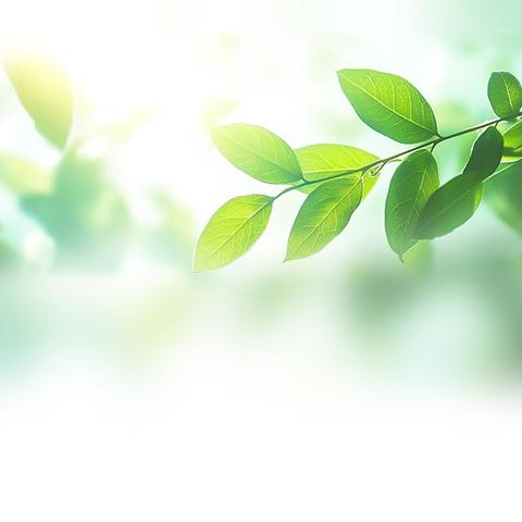 【园所动态】恰逢春日 共育花开——西安航空学院幼儿园2025—2026学年第二学期期初家/伙委员会