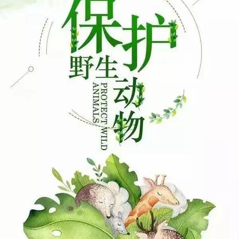 【永寿动管】“你我携起手来，共同保护野生动植物”——永寿县林业局野生动物保护工作站开展第十一届“世界野生动植物日”主题宣传活动