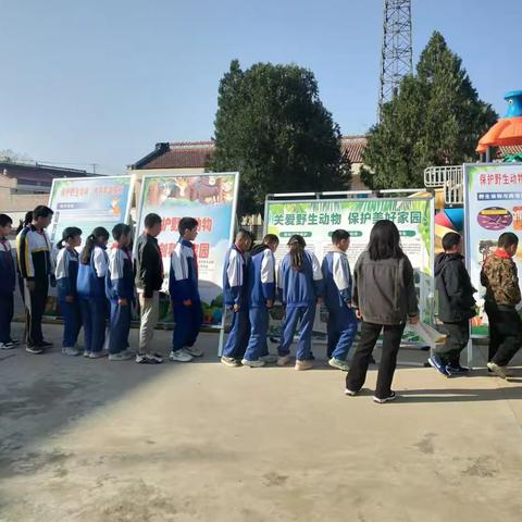 保护野生动物 共建和谐家园——永寿县林业局动管站开展“进校园”专题宣讲活动