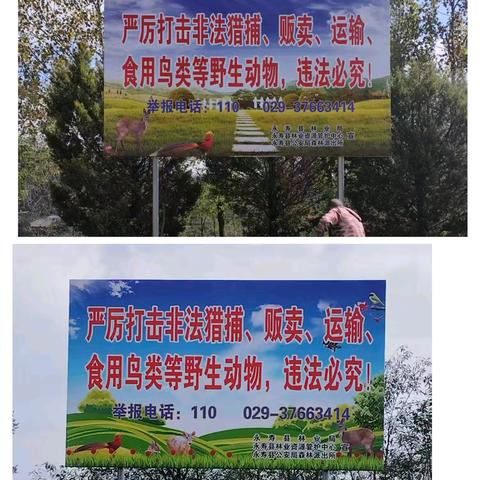 守护蓝天精灵、共建和谐家园——永寿林业管护中心开展“进镇村、进社区、进校园”专题宣讲活动