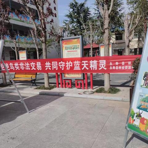 拒绝鸟类非法交易 守护蓝天精灵——永寿县林业局进校园开展野生动物保护宣传活动