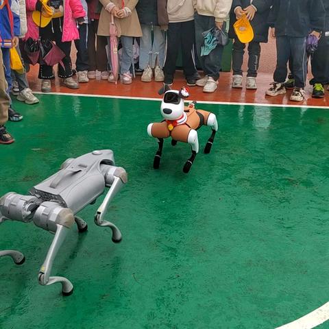 科技赋能童年 共筑乡村梦想 ——乌蒙乡中心学校“六一”科技教育活动