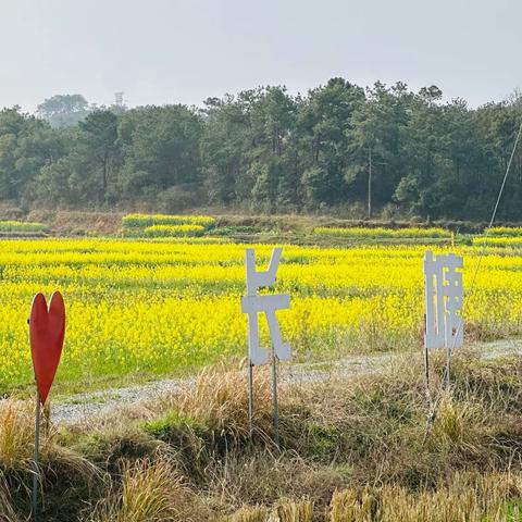 沐浴春风里 且看山河绿——吉州区长塘中学油菜地里放风筝活动