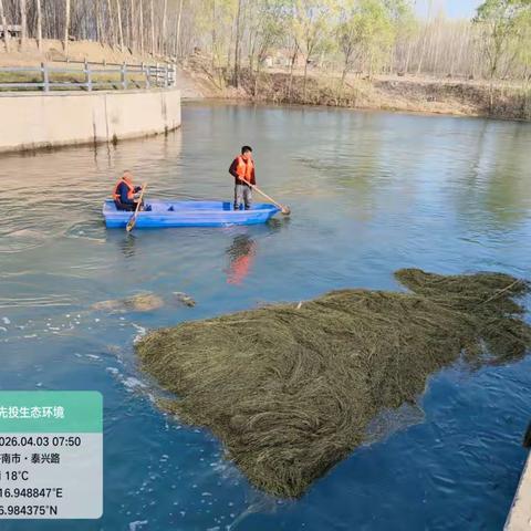 清明护河守初心 水清岸绿绘新卷——起步区大城管鹊华河湖卫士扎实开展清明节河道管护工作