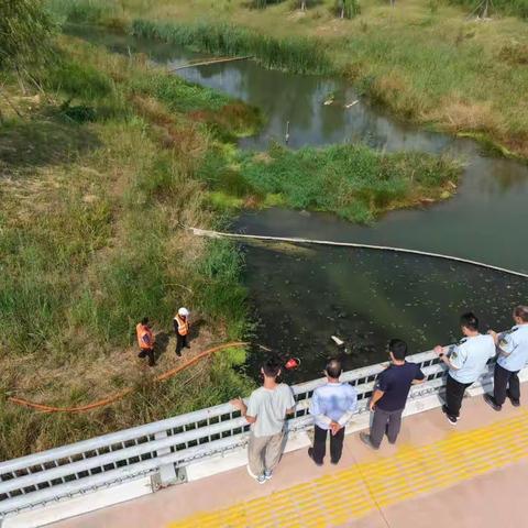 聚力治排污，凝心护河清——鹊华河湖卫士联合崔寨综合执法部门开展水环境巡查行动