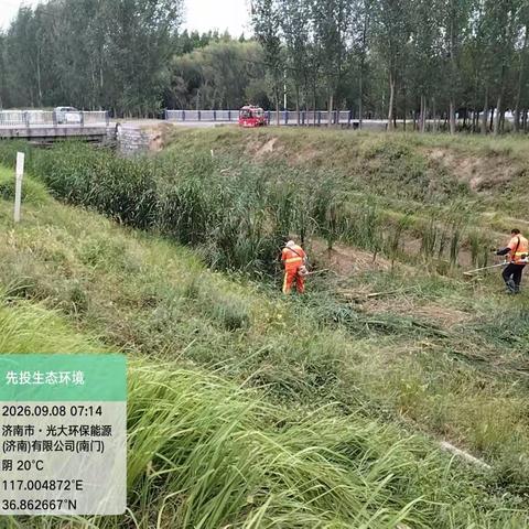 鹊华河湖卫士集中清芦除草，擦亮河道生态底色