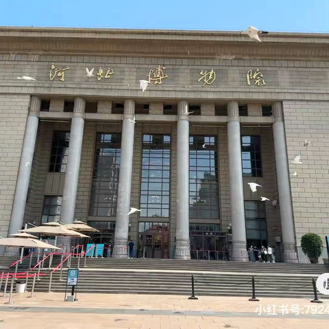 学习家乡历史，传承家乡文化——北郡小学二年级七班石家庄市博物馆研学