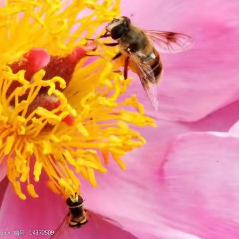 砥砺前行芬芳路，国培研修促成长