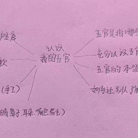 《认识我的五官》