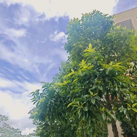 玉兰故事会（第一期）