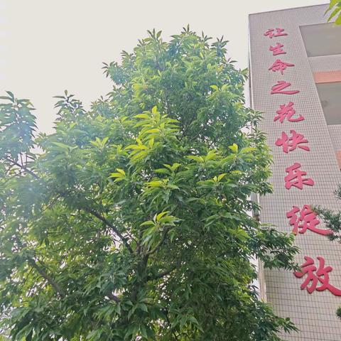 玉兰故事会（第二期）