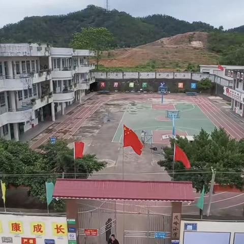 【文明校园 】高州市石仔岭街道茂岭小学：活动立品，文明之花遍地开