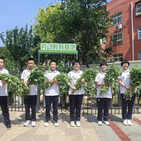 浓情端午，“艾”满六中————邯郸市第六中学劳动实践基地记实