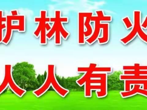 森林防火安全知识宣传