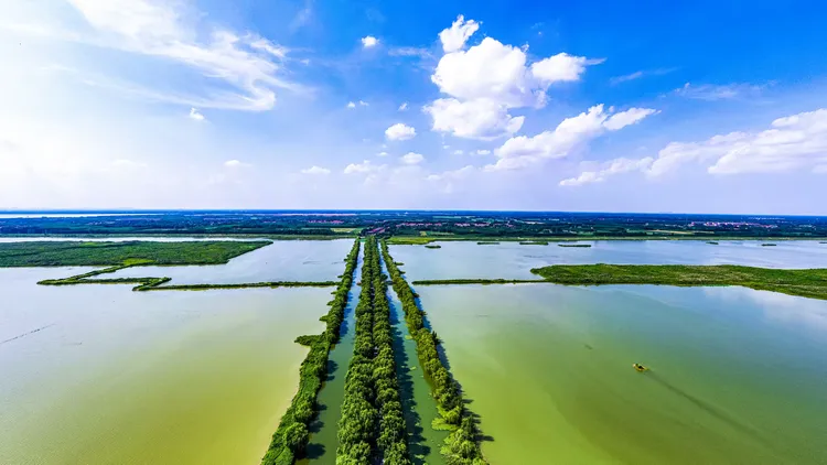 简篇-【水乡白云】半马逐梦 美景同行——奔跑在白云湖的画卷中